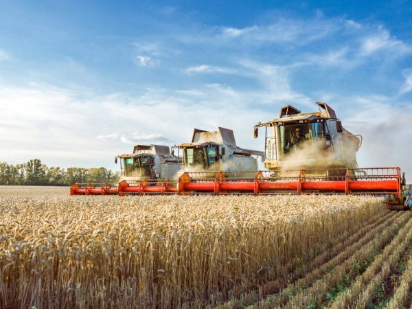 Indústria agrícola