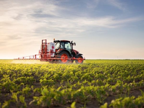 xr:d:DAFd2Sr3ptU:32,j:6734410632402936841,t:23091810